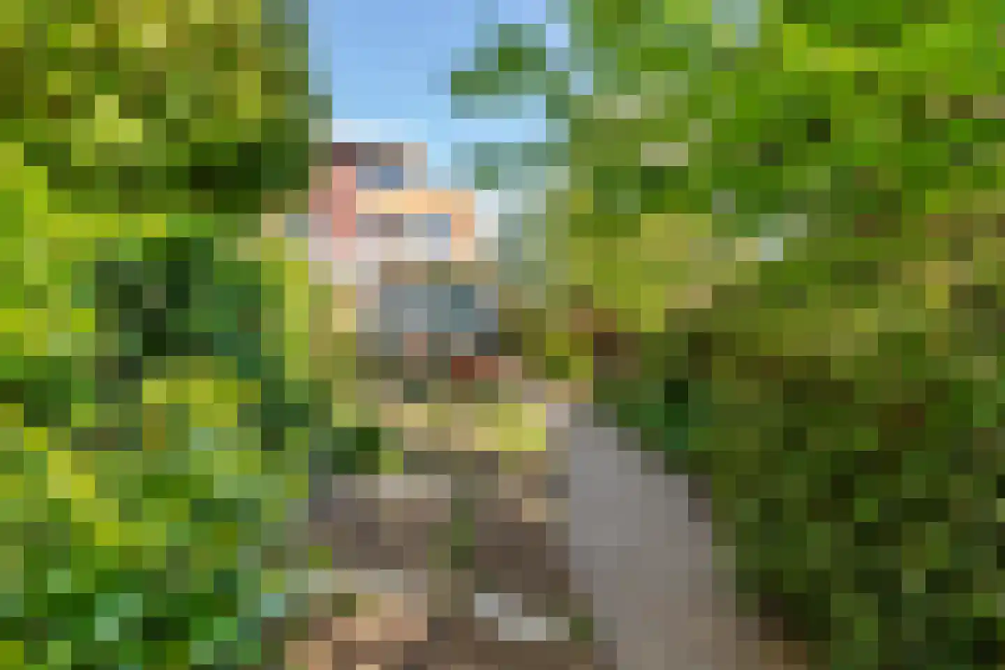 Goudhaver 35 Tiel thumbnail 21