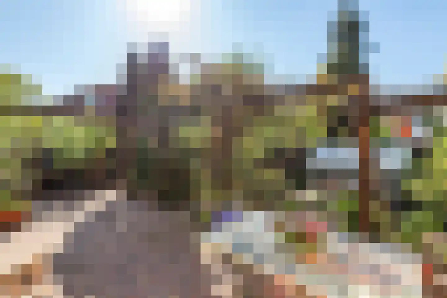 Goudhaver 35 Tiel thumbnail 22