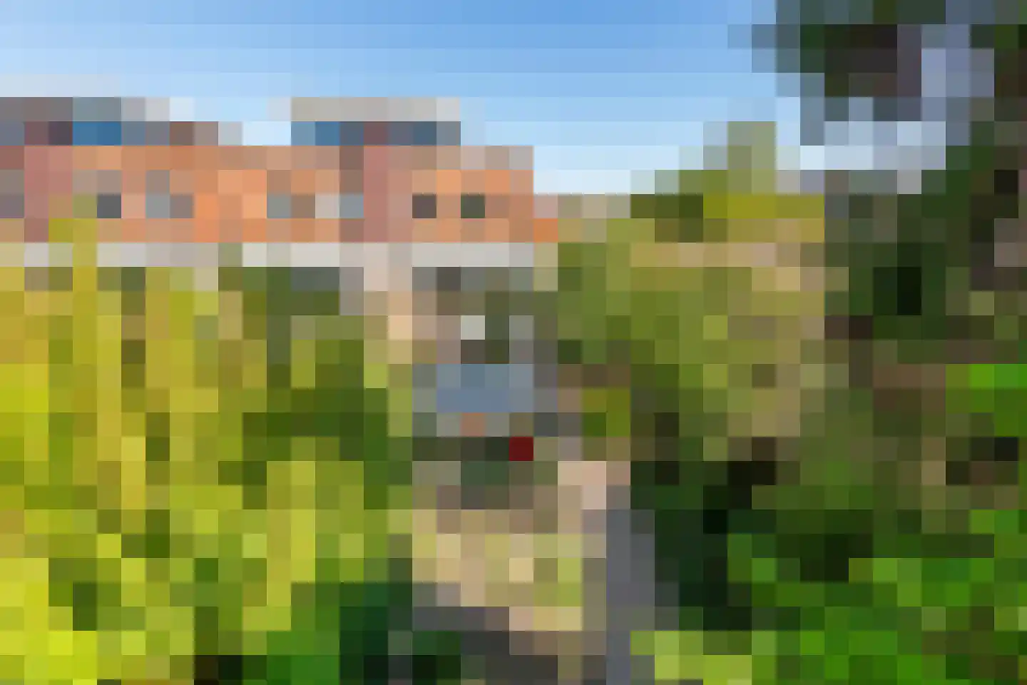 Goudhaver 35 Tiel thumbnail 23