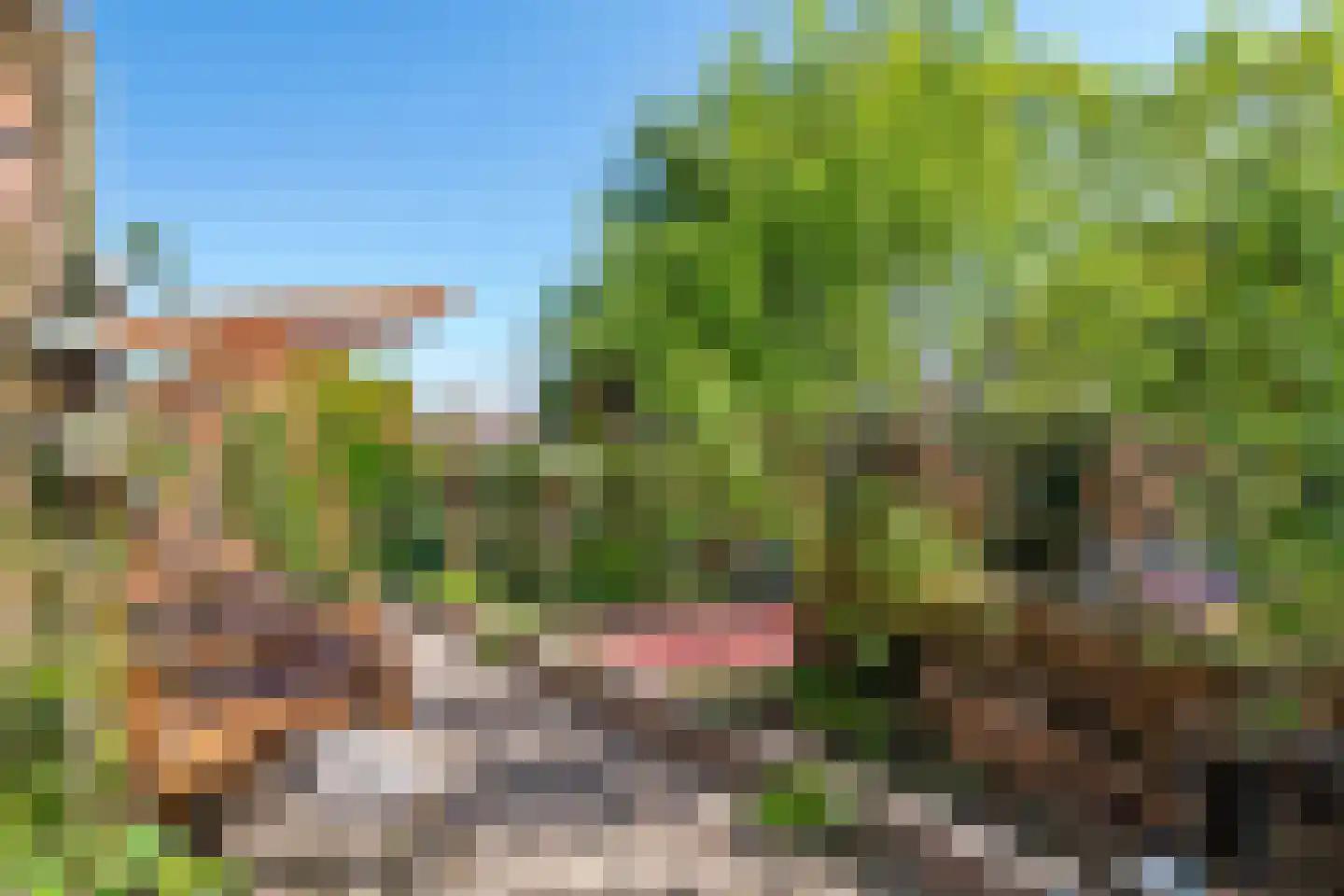 Goudhaver 35 Tiel thumbnail 24