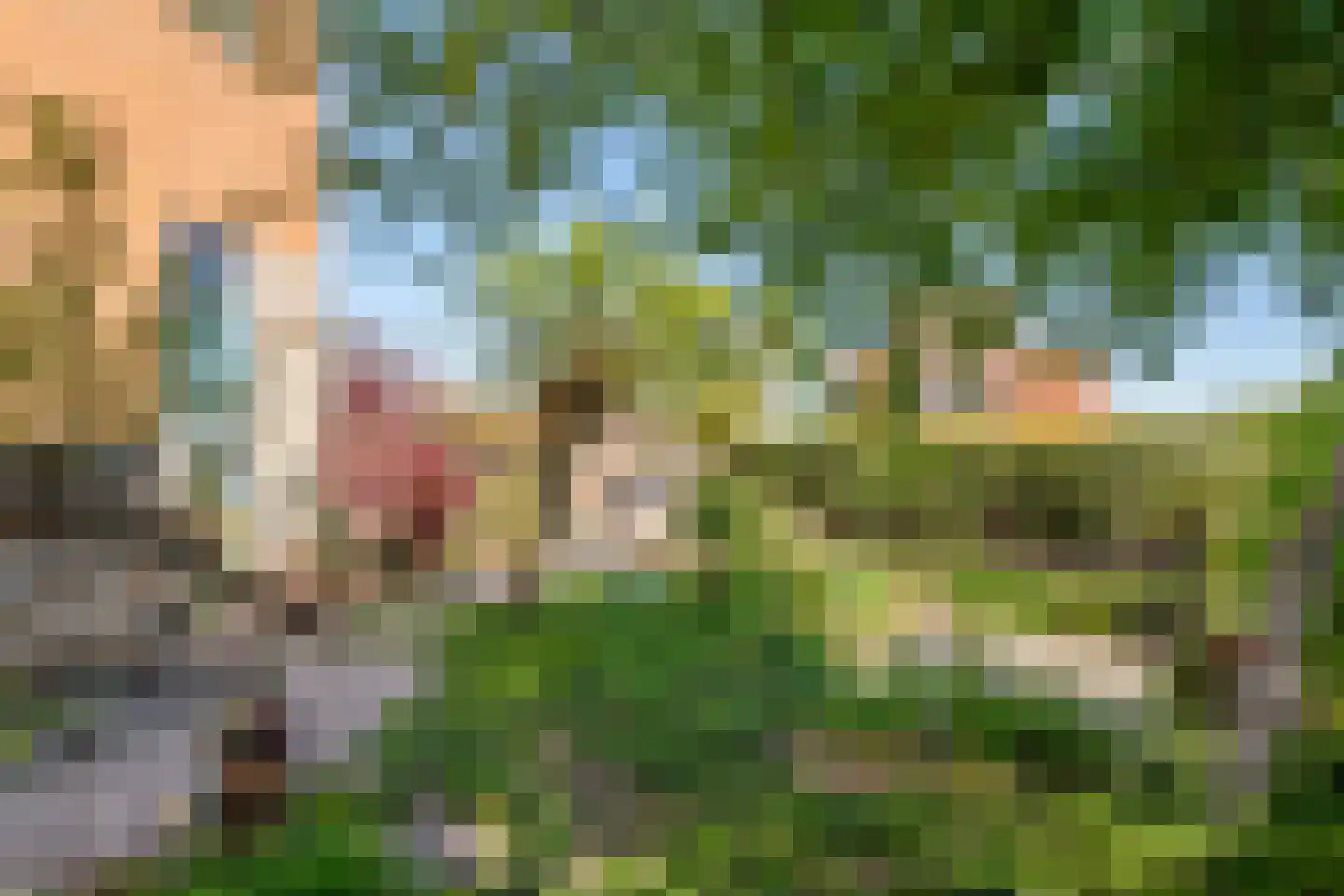 Goudhaver 35 Tiel thumbnail 25