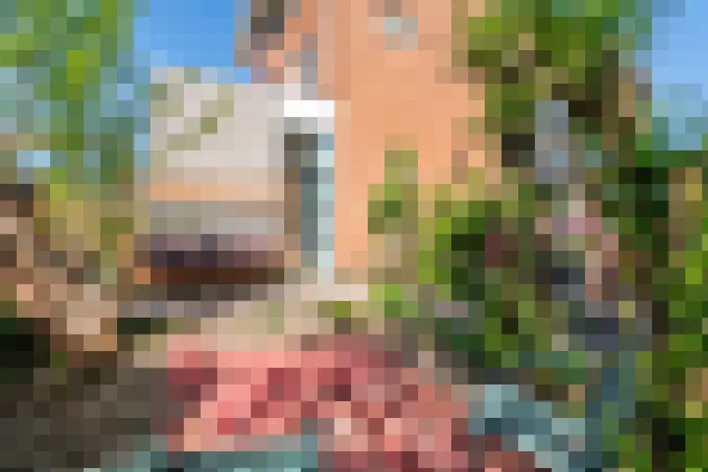 Goudhaver 35 Tiel thumbnail 26