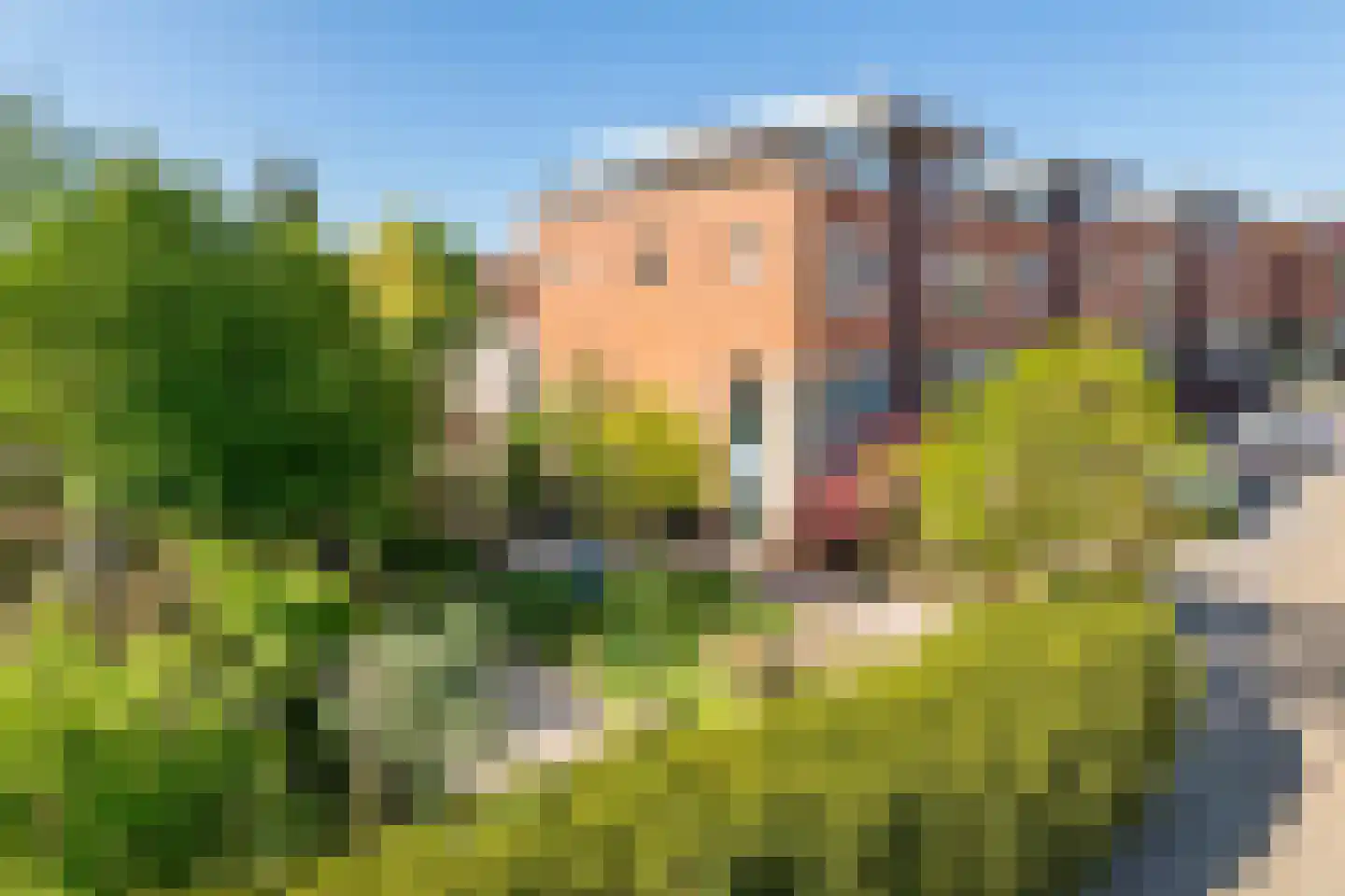 Goudhaver 35 Tiel thumbnail 27