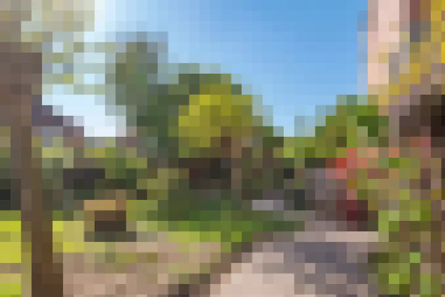 Goudhaver 35 Tiel thumbnail 28