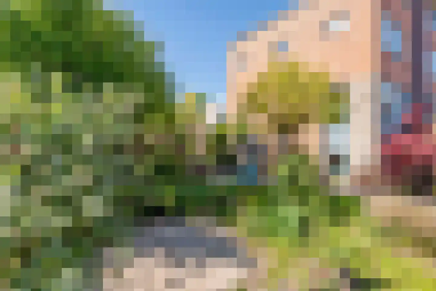 Goudhaver 35 Tiel thumbnail 29