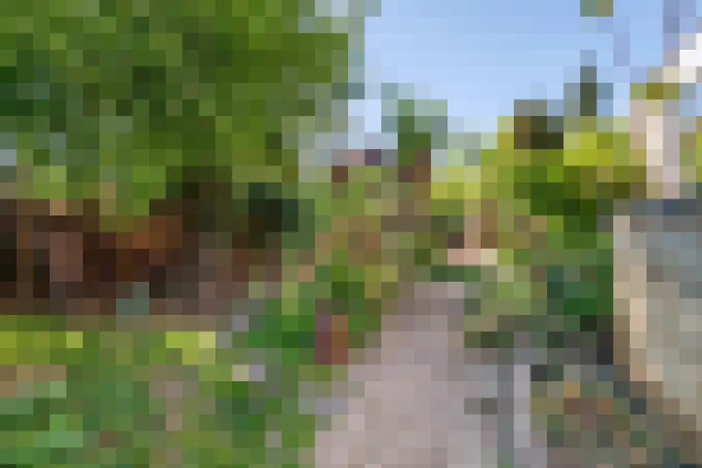 Goudhaver 35 Tiel thumbnail 30
