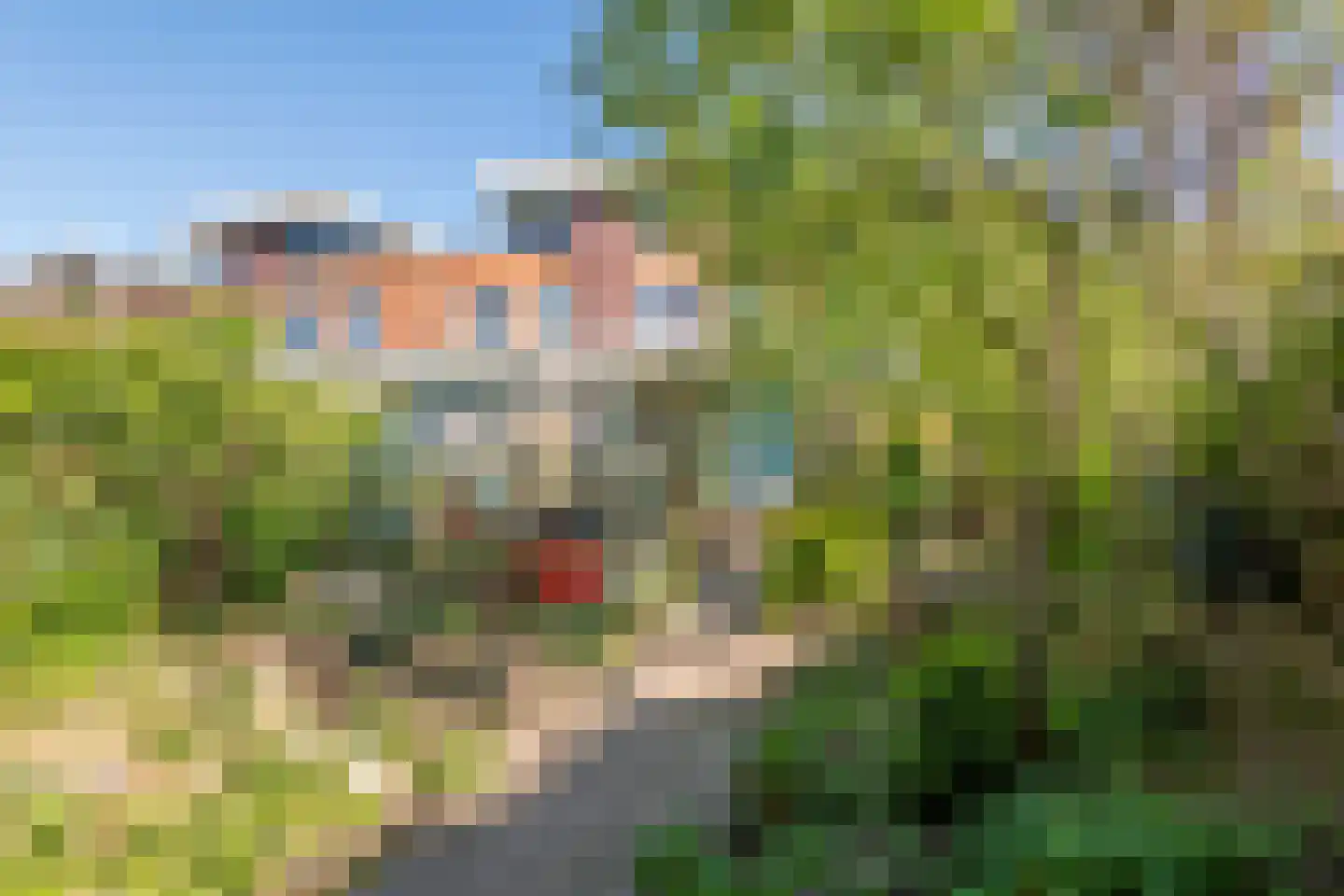 Goudhaver 35 Tiel thumbnail 31