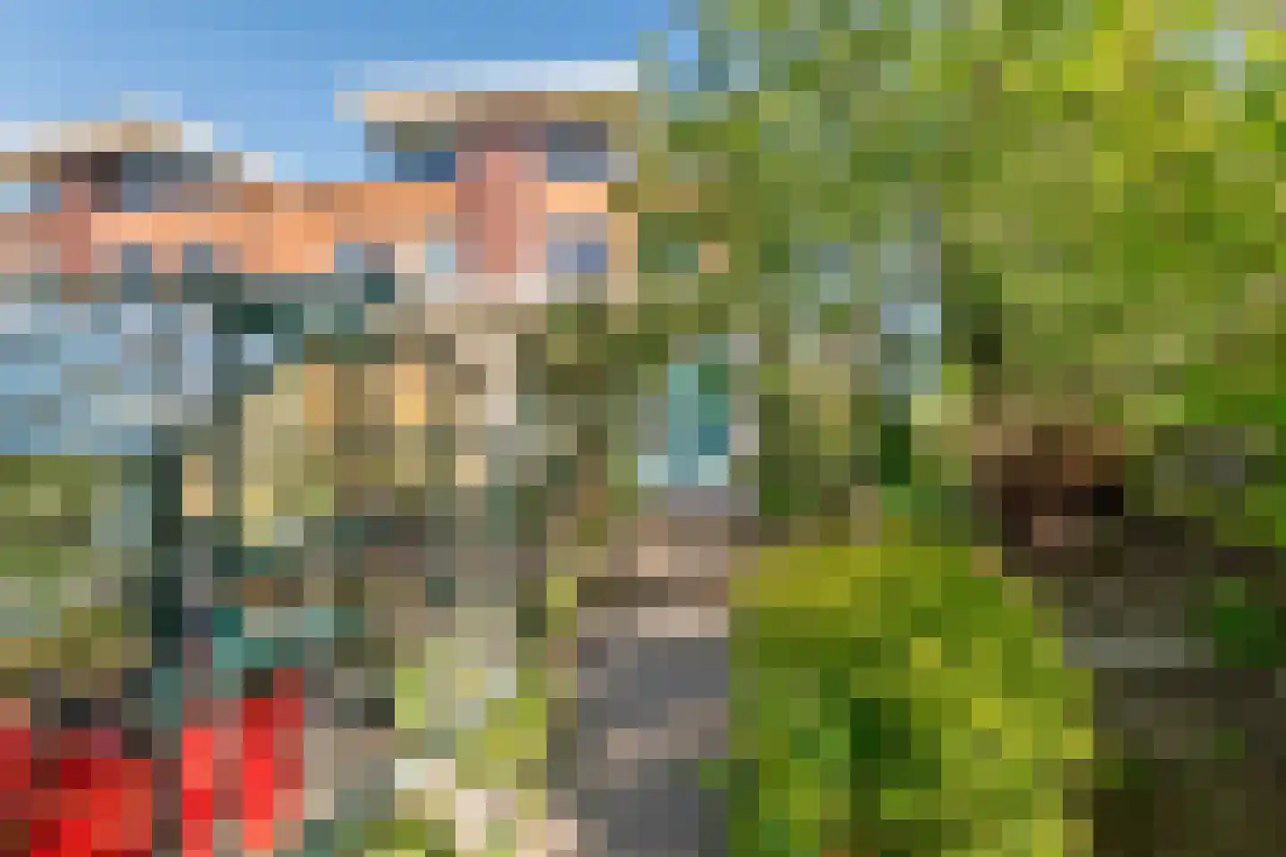 Goudhaver 35 Tiel thumbnail 32