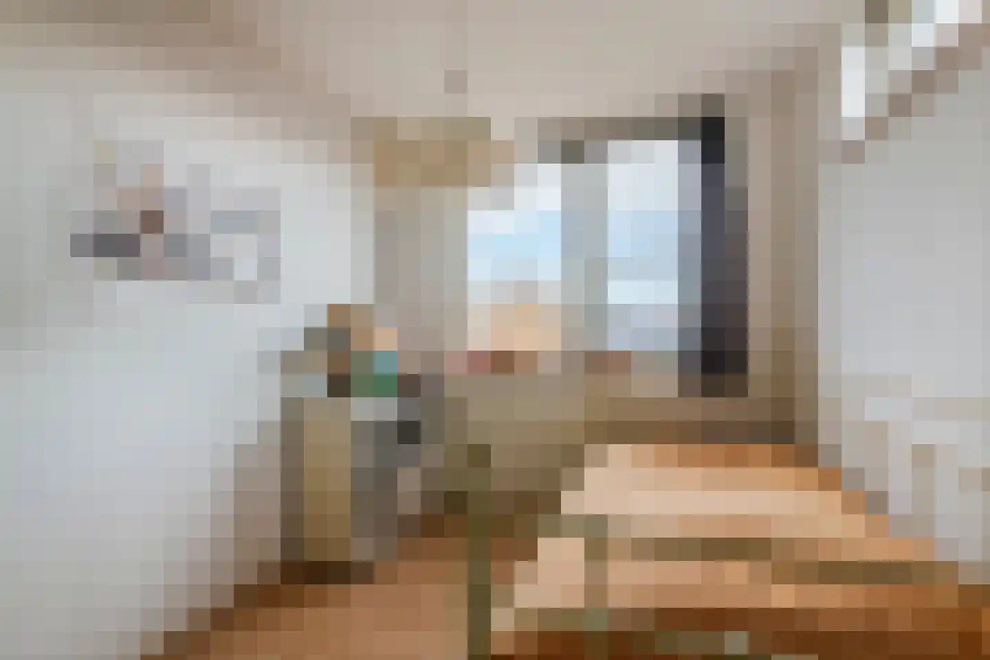 Goudhaver 35 Tiel thumbnail 43