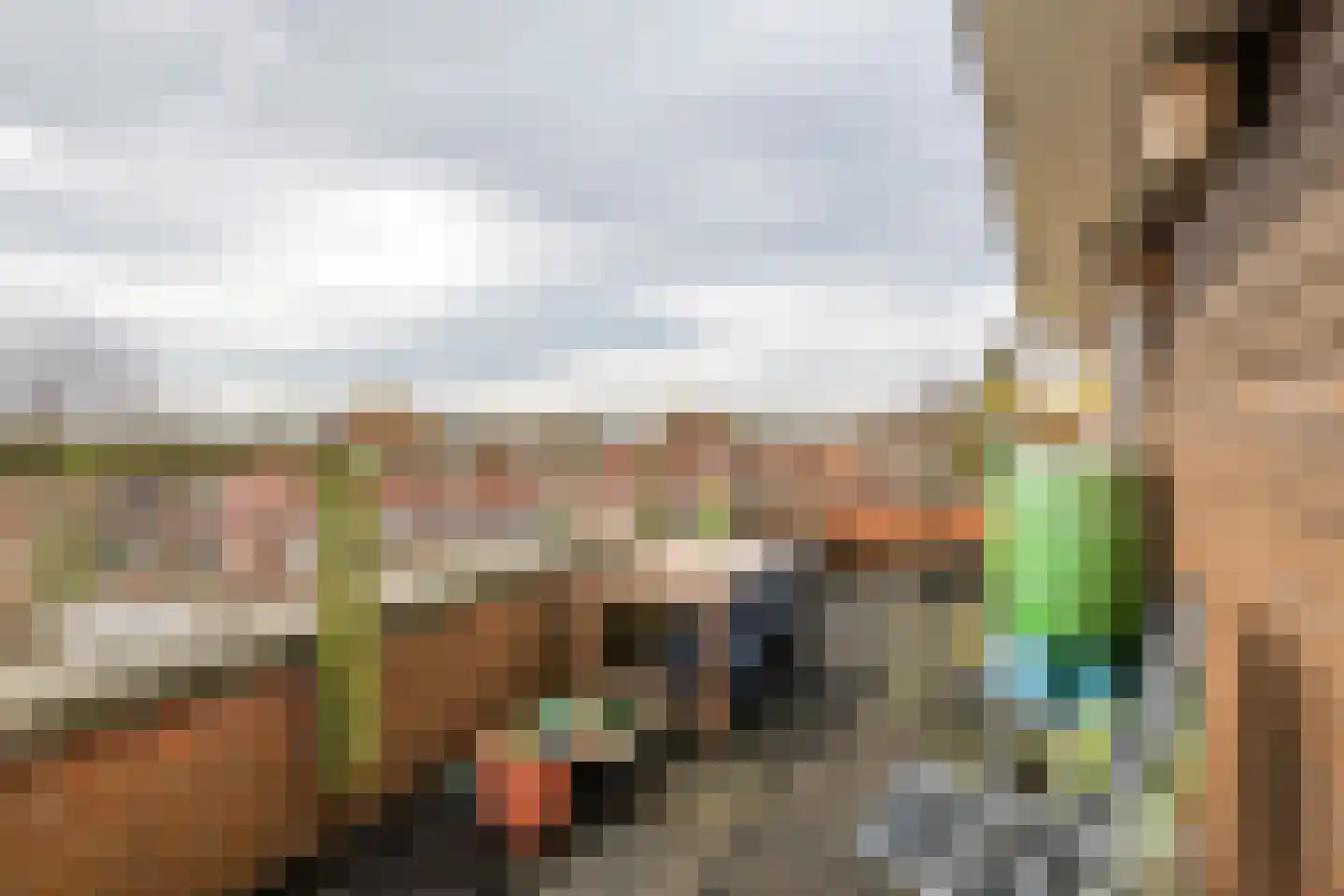 Goudhaver 35 Tiel thumbnail 47
