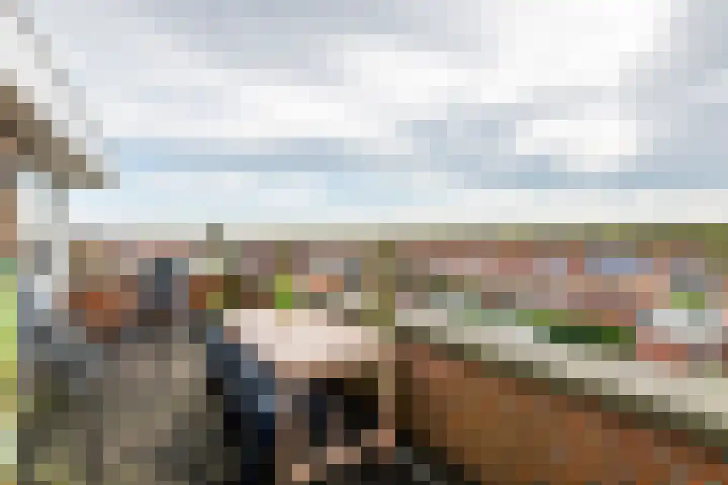 Goudhaver 35 Tiel thumbnail 48