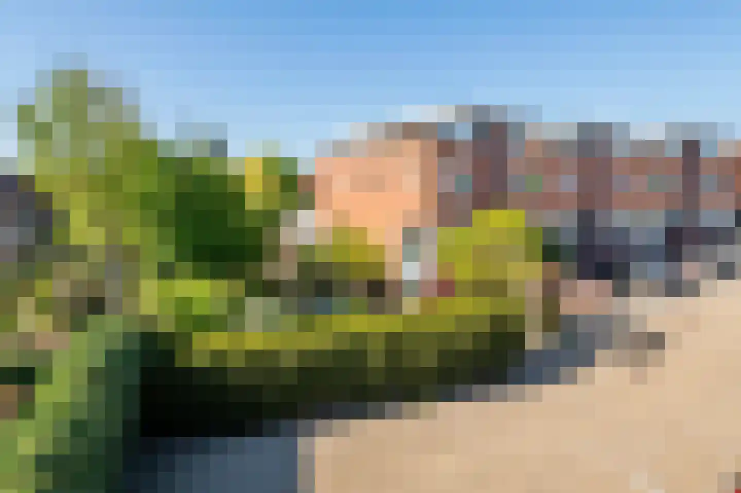 Goudhaver 35 Tiel thumbnail 50