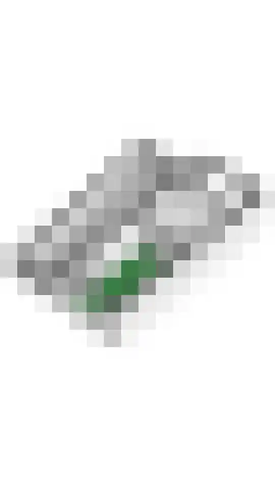 Goudhaver 35 Tiel thumbnail 60
