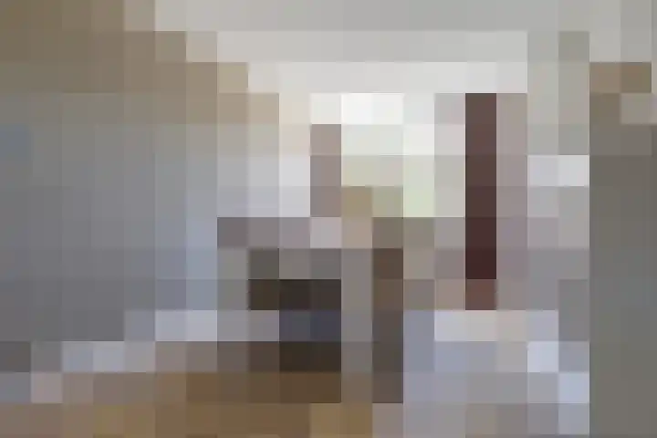 Goudhaver 41 Tiel thumbnail 10