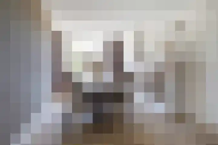 Goudhaver 41 Tiel thumbnail 11
