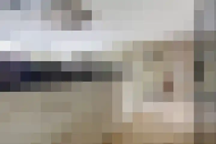 Goudhaver 41 Tiel thumbnail 12