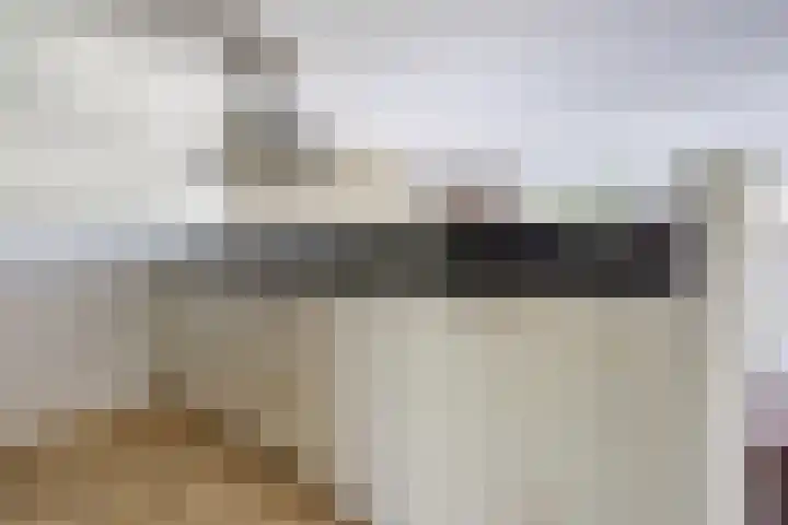 Goudhaver 41 Tiel thumbnail 13