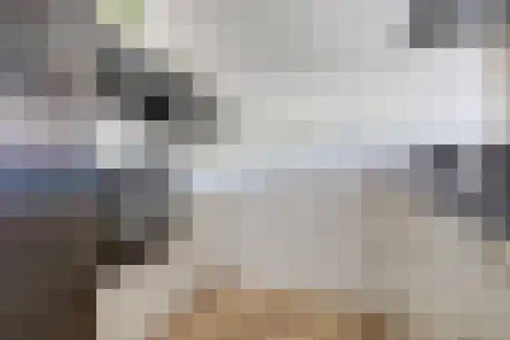 Goudhaver 41 Tiel thumbnail 14