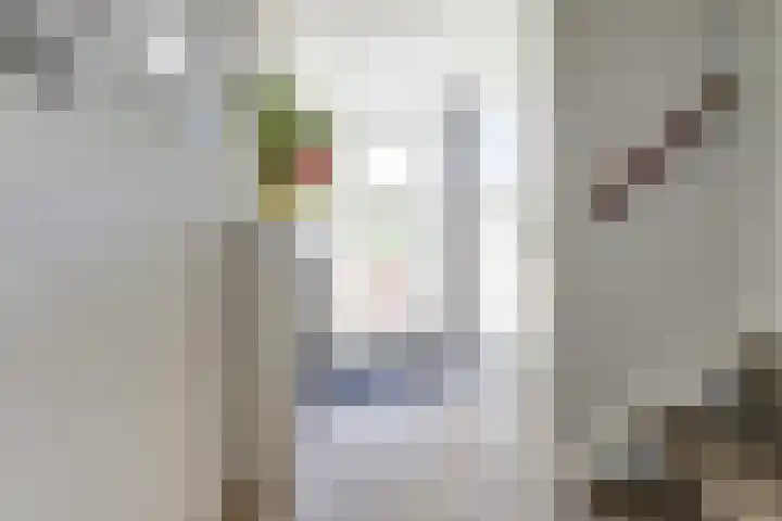 Goudhaver 41 Tiel thumbnail 16