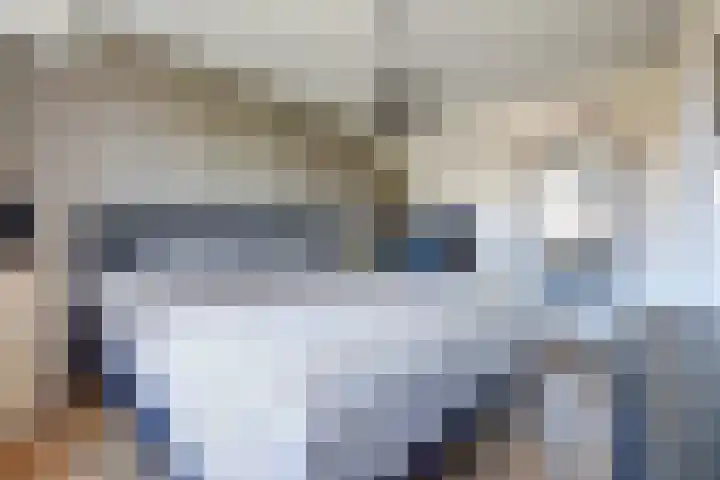 Goudhaver 41 Tiel thumbnail 17