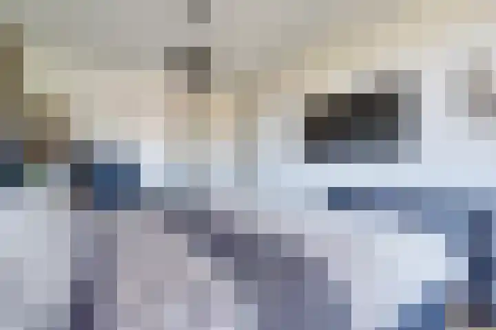 Goudhaver 41 Tiel thumbnail 22