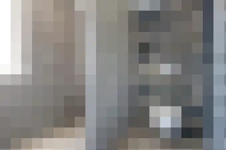 Goudhaver 41 Tiel thumbnail 25