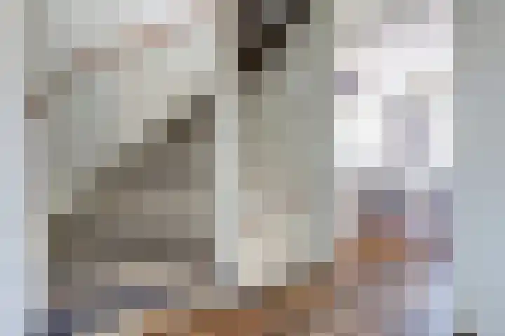 Goudhaver 41 Tiel thumbnail 26