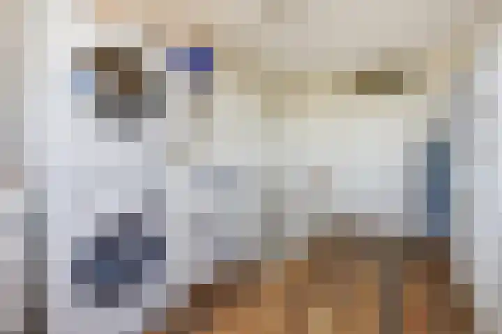 Goudhaver 41 Tiel thumbnail 28