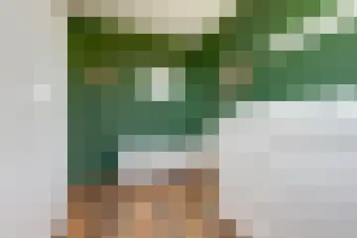 Goudhaver 41 Tiel thumbnail 29