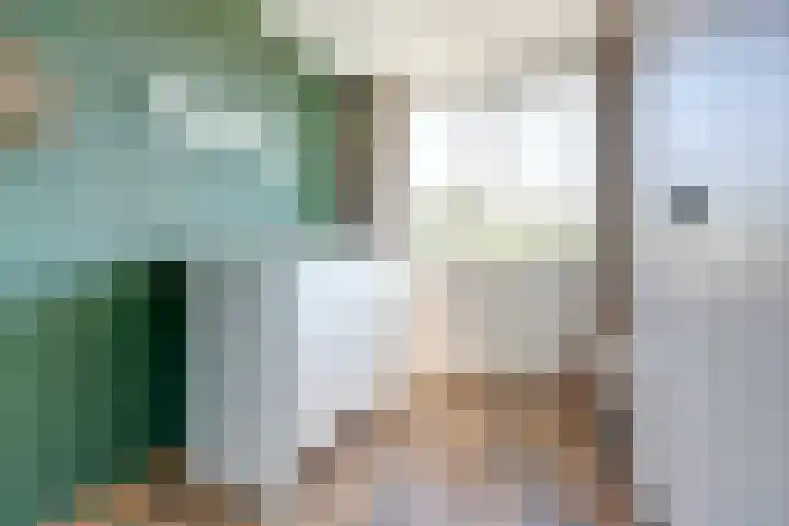 Goudhaver 41 Tiel thumbnail 30
