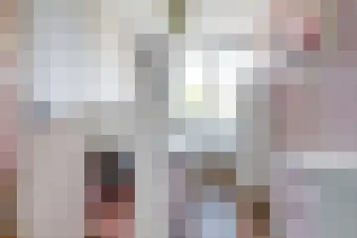 Goudhaver 41 Tiel thumbnail 32