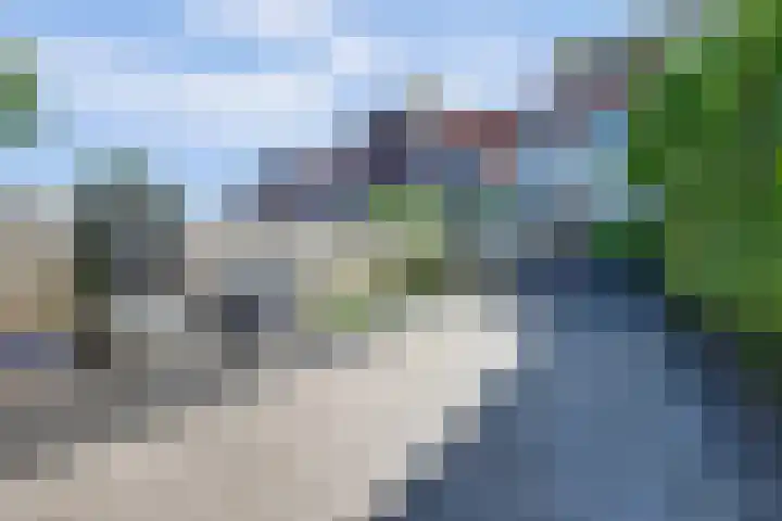 Goudhaver 41 Tiel thumbnail 35