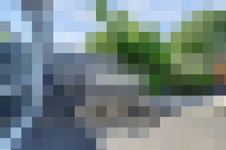 Goudhaver 41 Tiel thumbnail 36