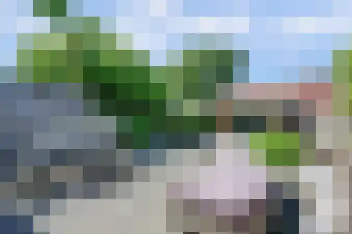 Goudhaver 41 Tiel thumbnail 37