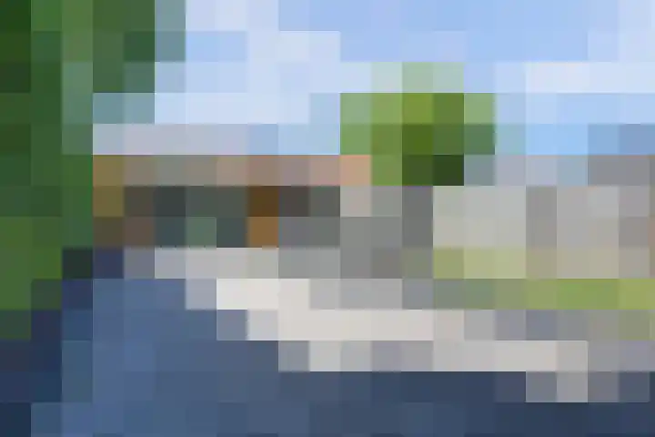 Goudhaver 41 Tiel thumbnail 38