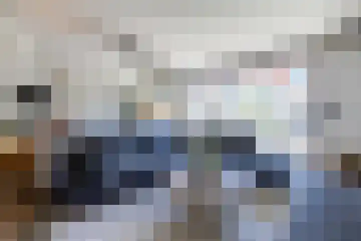 Goudhaver 41 Tiel thumbnail 39