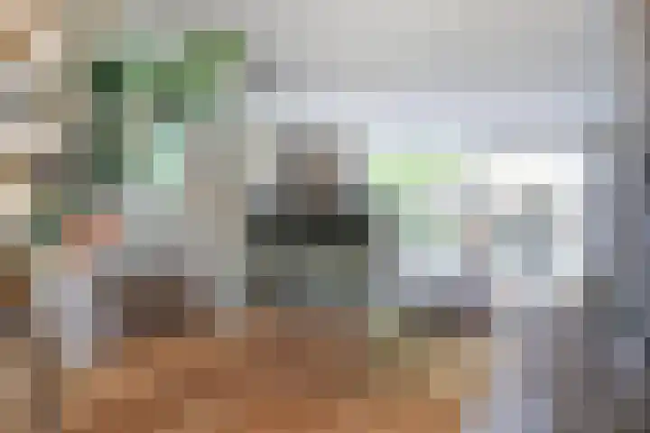 Goudhaver 41 Tiel thumbnail 4