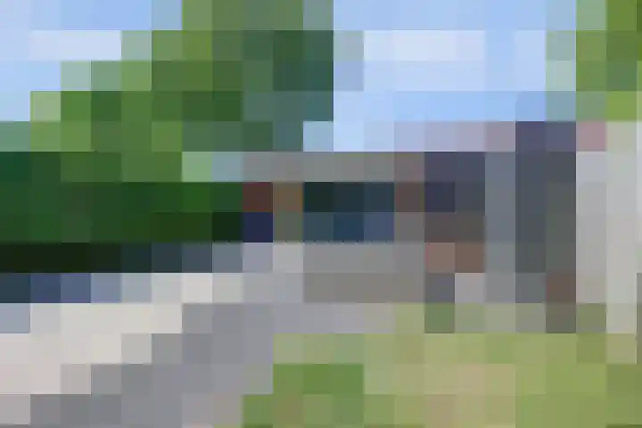 Goudhaver 41 Tiel thumbnail 40