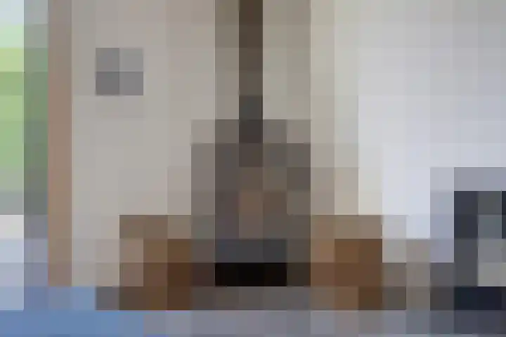 Goudhaver 41 Tiel thumbnail 41