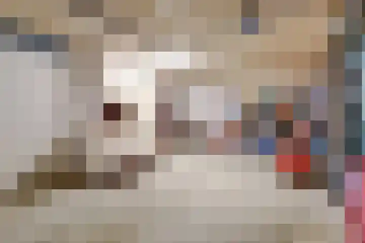 Goudhaver 41 Tiel thumbnail 44