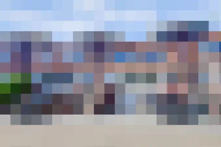 Goudhaver 41 Tiel thumbnail 46