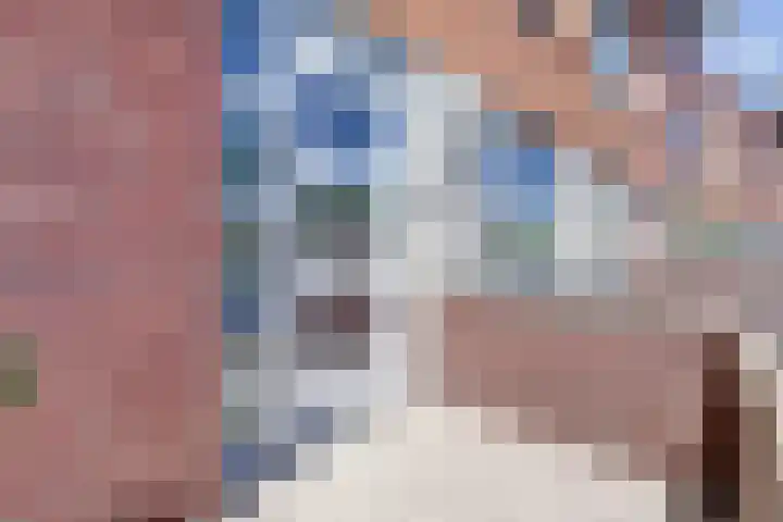 Goudhaver 41 Tiel thumbnail 47