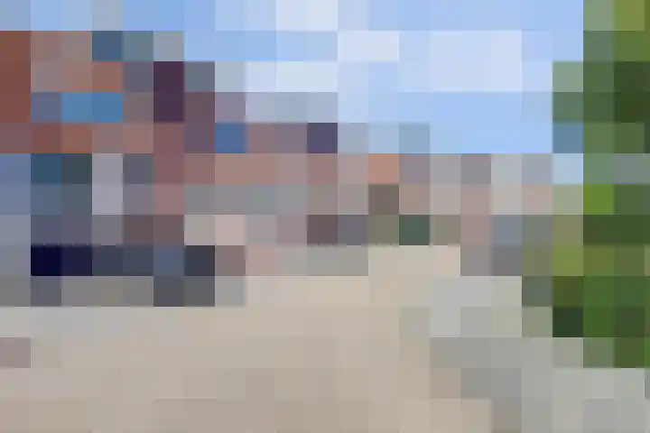 Goudhaver 41 Tiel thumbnail 48