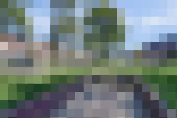 Goudhaver 41 Tiel thumbnail 49