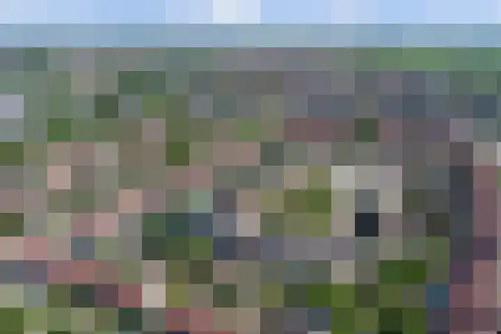 Goudhaver 41 Tiel thumbnail 52