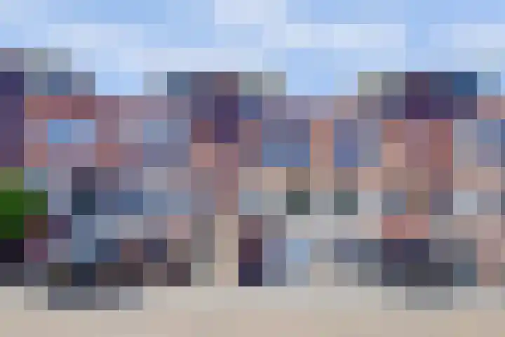 Goudhaver 41 Tiel thumbnail 53