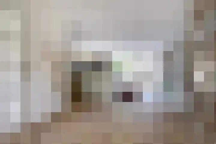 Goudhaver 41 Tiel thumbnail 6