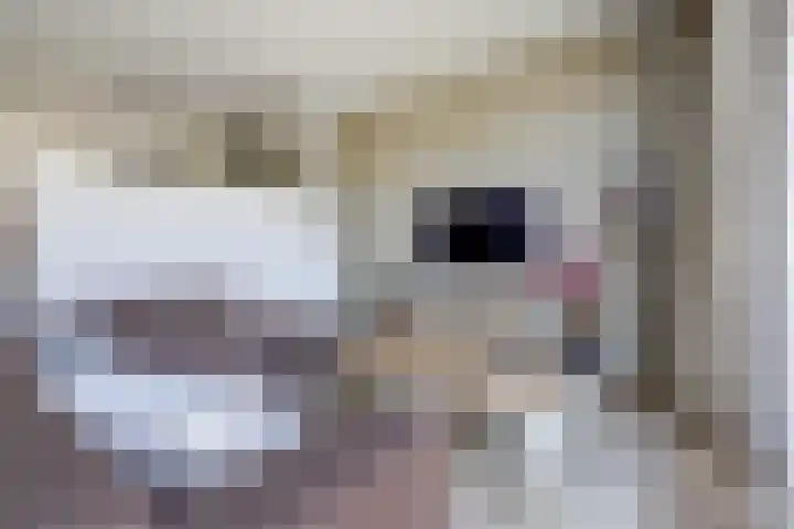 Goudhaver 41 Tiel thumbnail 7
