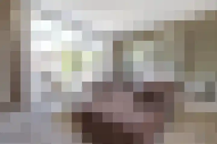 Goudhaver 41 Tiel thumbnail 8