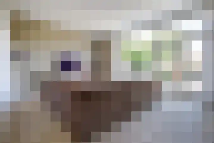 Goudhaver 41 Tiel thumbnail 9